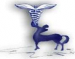 Логотип сервисного центра Хирон